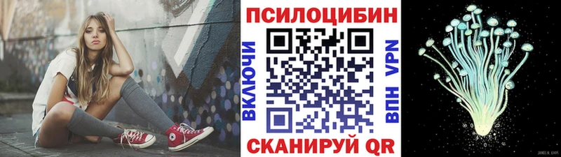 Галлюциногенные грибы ЛСД  где купить наркоту  Тында 